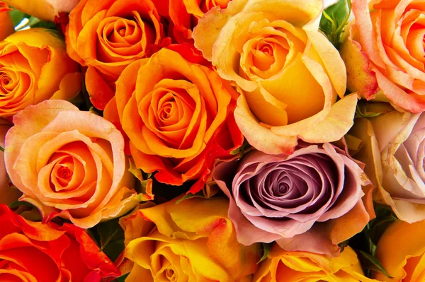 Bukett rosor i olika färger — Stockfoto