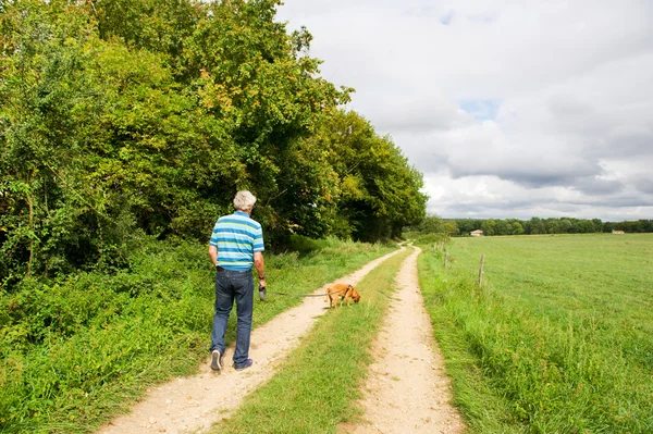 Elderly man is walking the dog — Stock Photo, Image