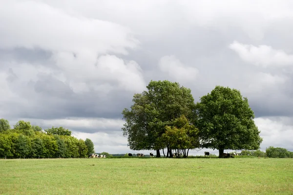 Landscape with dark clouds — Stock Photo, Image