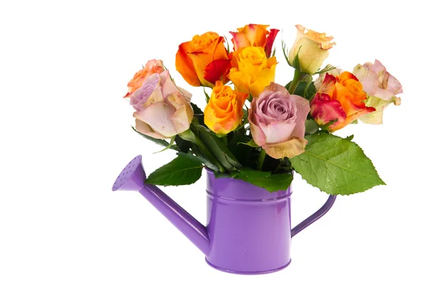 Colorful bouquet roses in watering can — Stock Photo, Image