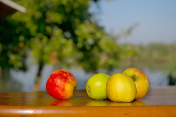 Äpplen vid bordet — Stockfoto