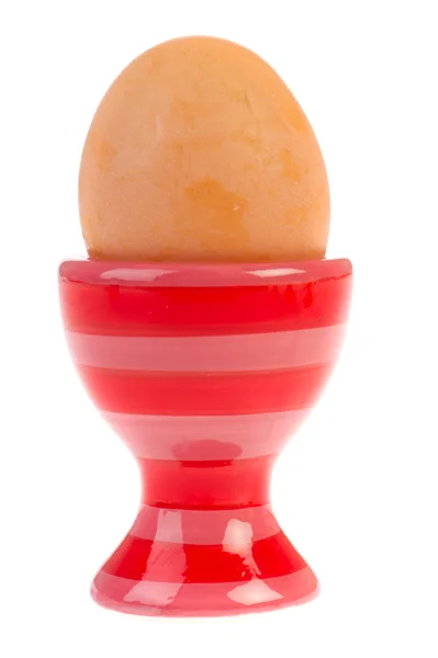 Brown egg in egg-cup — Stock Photo, Image