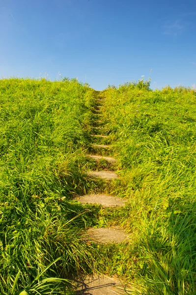 Stairs up hill — Stock Photo, Image