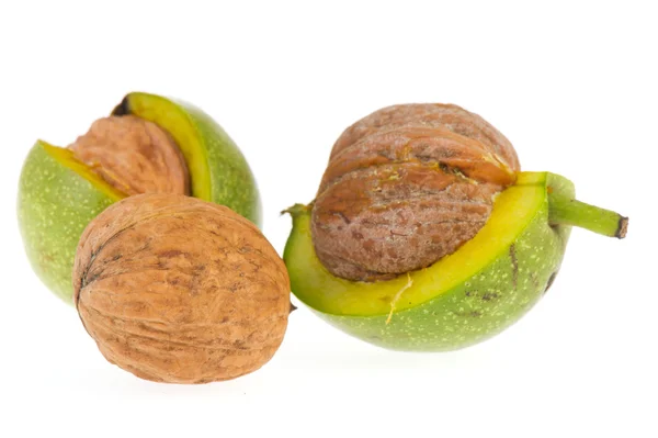 Walnuts in husk — Stock Photo, Image