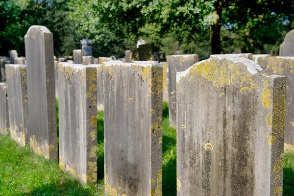 Zeer oude begraafplaats — Stockfoto