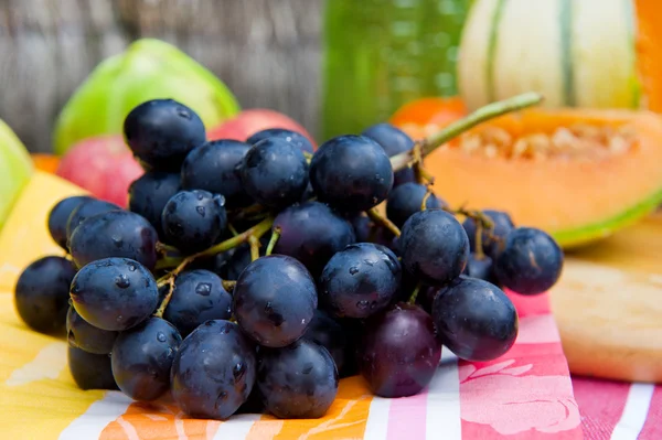 Букет синій винограду — стокове фото