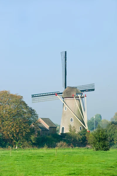 Mulino a vento olandese — Foto Stock