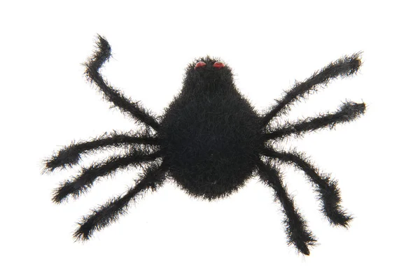 stock image Black spider