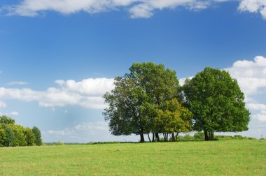 Trees in the meadows clipart