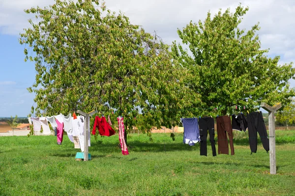 Wäsche aufhängen — Stockfoto