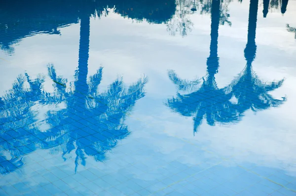 Palme vicino alla piscina — Foto Stock
