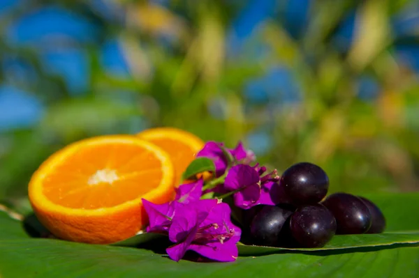 Trópusi gyümölcs — Stock Fotó