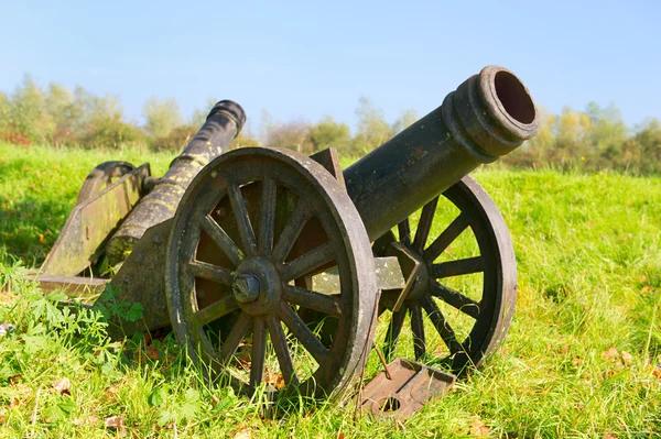 stock image Historical canons