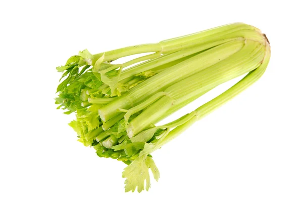Čerstvý celer — Stock fotografie