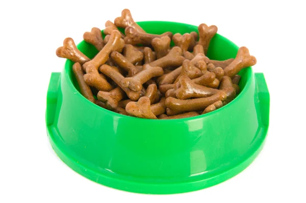 Green tray dog food — Stock Photo, Image