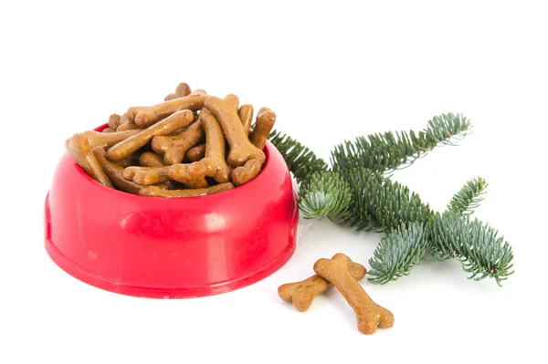 Dog food with Christmas — Stock Photo, Image