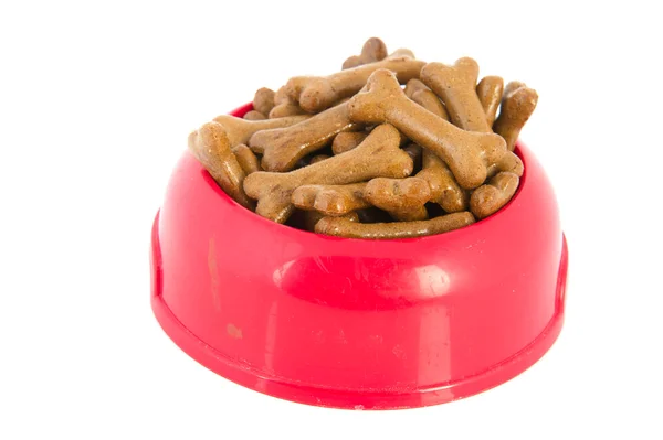 Red tray dog food — Stock Photo, Image