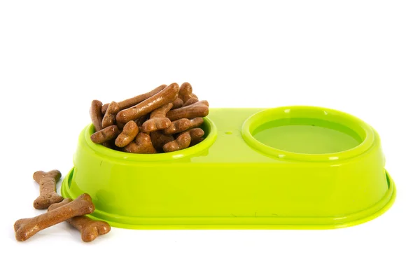 Green tray dog food and water — Stock Photo, Image