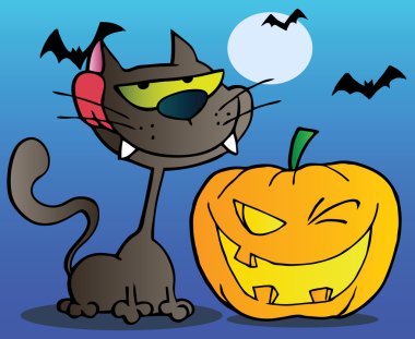 siyah kedi ve göz kırpıyor Cadılar Bayramı jackolantern kabak