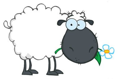 Grazing Black Sheep clipart