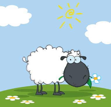 Black Barnyard Sheep Eating Grass On A Hill clipart