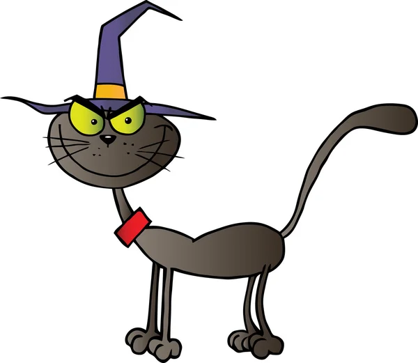 Czarny kot czarownicy — Zdjęcie stockowe