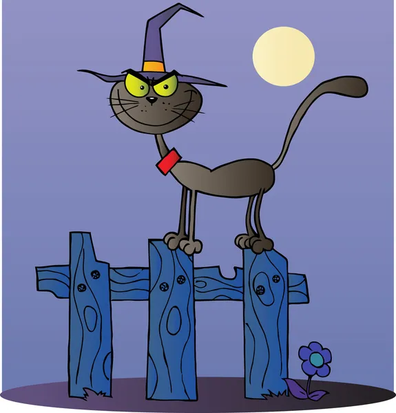 stock image Black Cat Witch On A Fence At Night