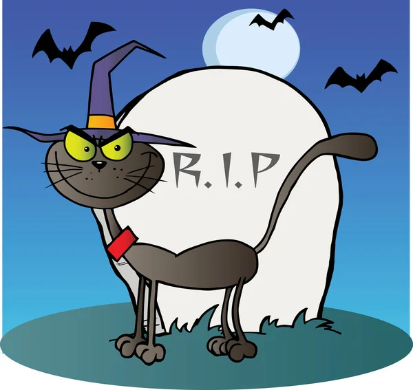 Halloween bruxa gato por uma lápide no azul — Fotografia de Stock