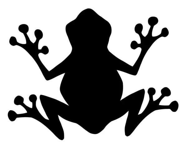 Силуэт лягушки — стоковое фото