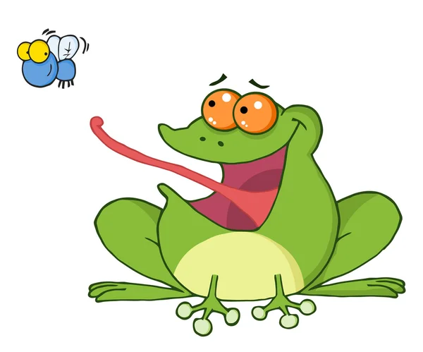 Frog Catching A Fly — Stock Photo, Image