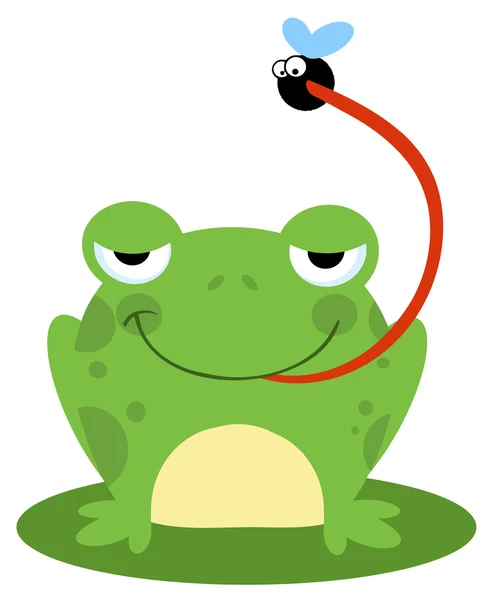 Frog Catching Bug — Stock Photo, Image