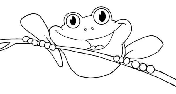 小枝で輪郭を描かれたカエル — ストック写真