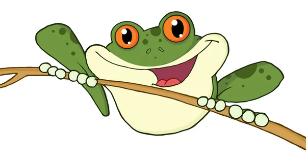 Zielona żaba na gałązka — Zdjęcie stockowe