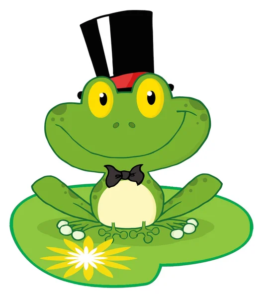 Frog Groom On A Lilypad — Stock Photo, Image