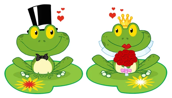 青蛙新娘和新郎莉莉垫上 — 图库照片