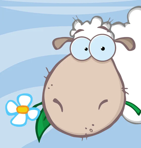Овцы едят цветок поверх голубого — стоковое фото