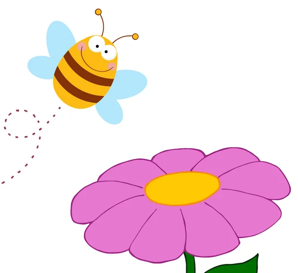 Boldog méh beporzó egy lila Margaréta — Stock Fotó