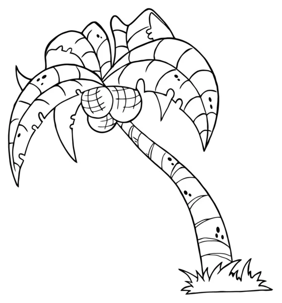 Konturerad palm tree — Stockfoto
