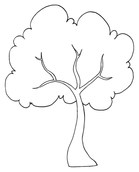 輪郭を描かれた木 — ストック写真