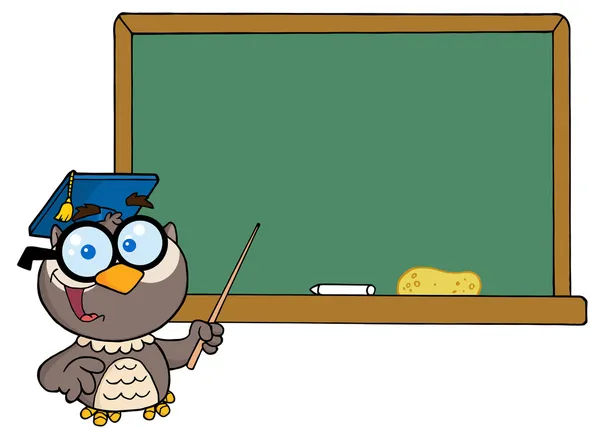 教授猫头鹰和粉笔板 — 图库照片