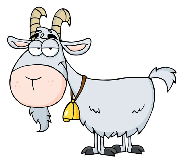 Gray Goat — Stock Photo, Image