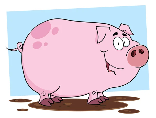 Smiling Muddy Piggy — Stock Photo, Image
