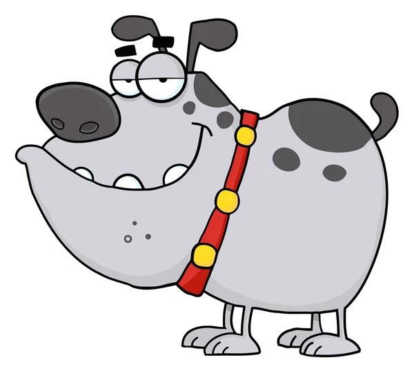 Gray Bulldog — Stock Photo, Image
