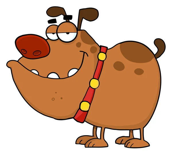 Bulldog marrón — Foto de Stock