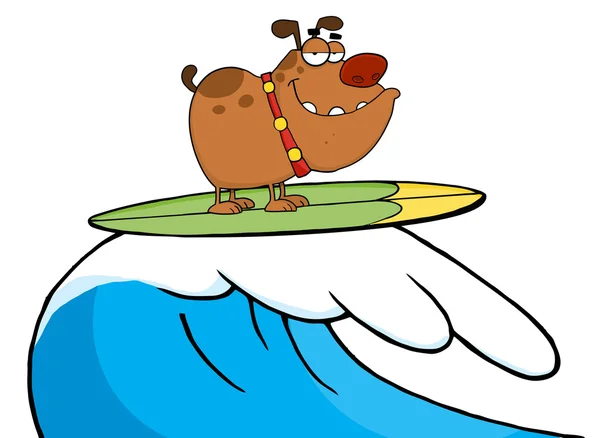 Happy Dog While Surfing — Stock Photo, Image