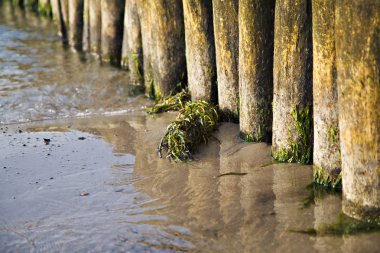 Groyne