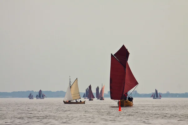 Segling ship regatta — Stockfoto