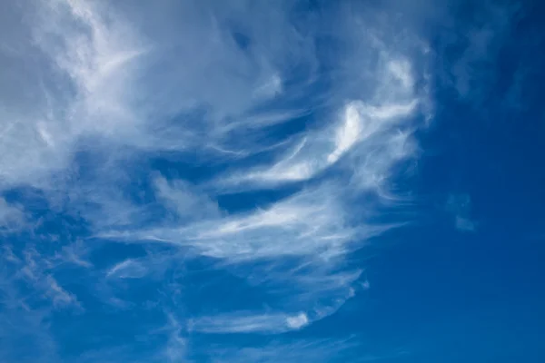 stock image Blue sky