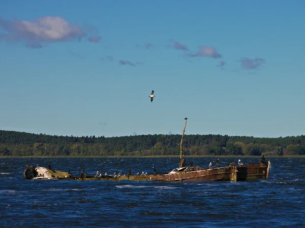 stock image Wreck