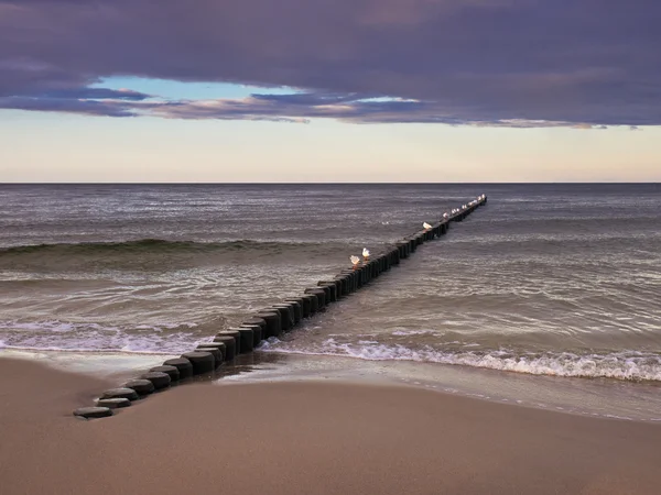 Na břehu Baltského moře — Stock fotografie